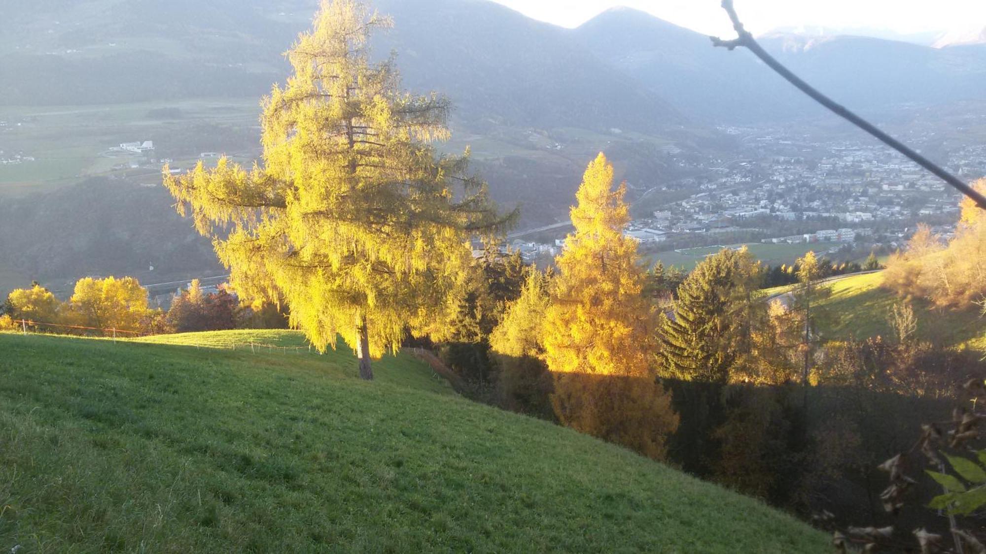 Residence Hofer Bressanone Kültér fotó