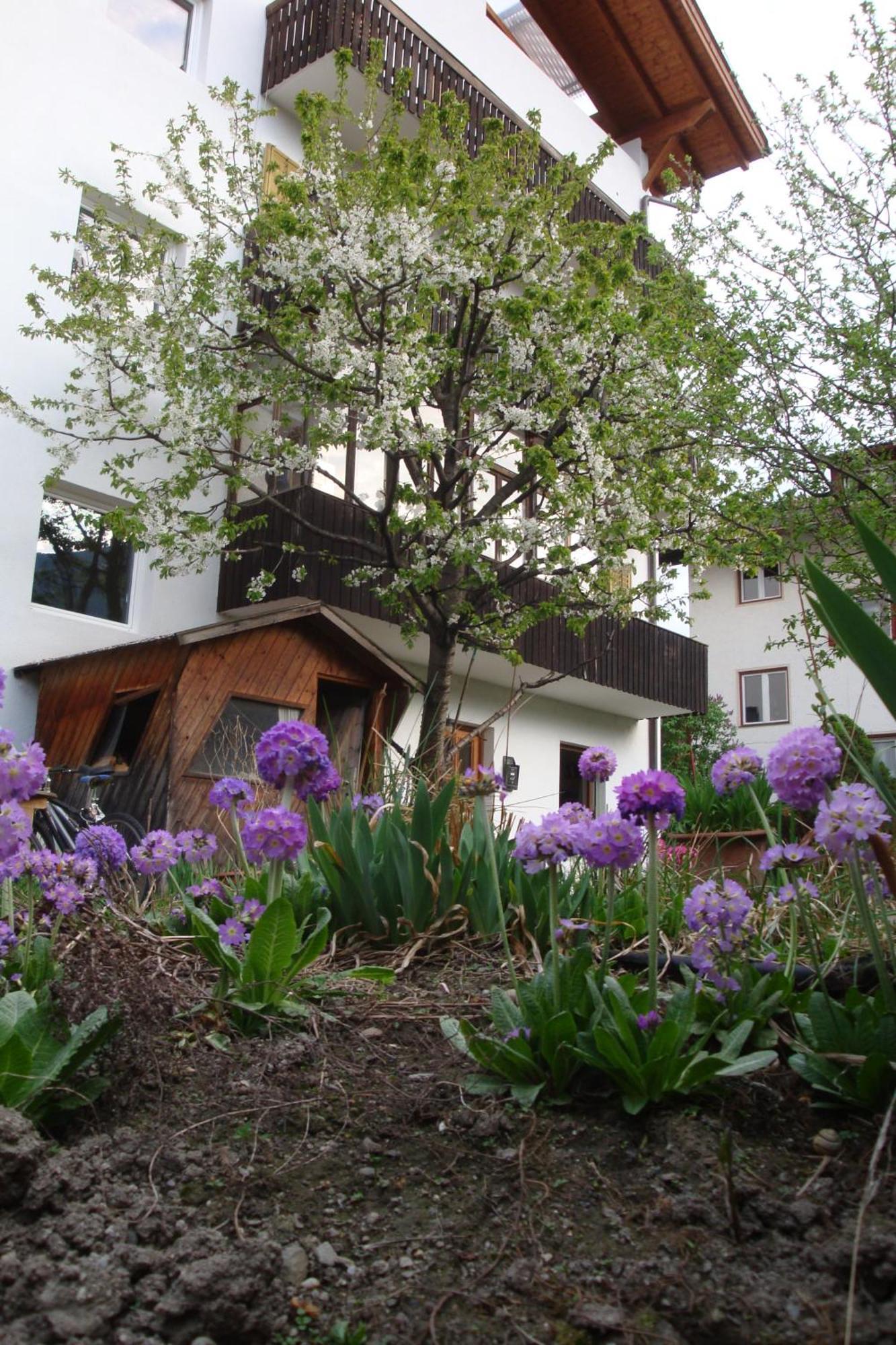 Residence Hofer Bressanone Kültér fotó