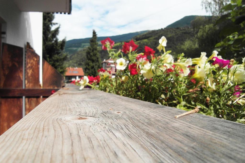 Residence Hofer Bressanone Kültér fotó